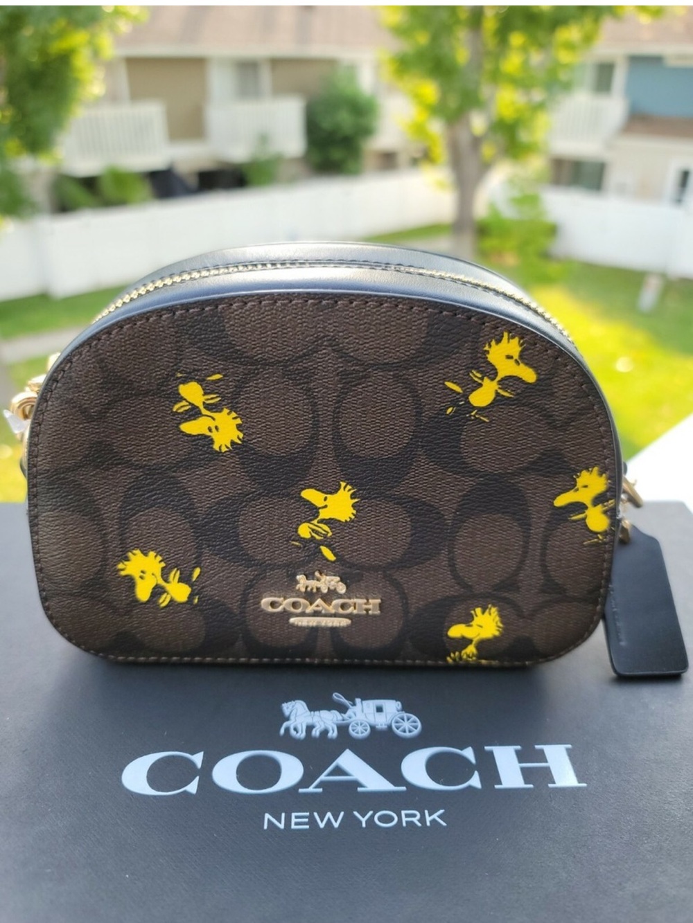 Coach limited addition with Woodstock
Crossbody Bag